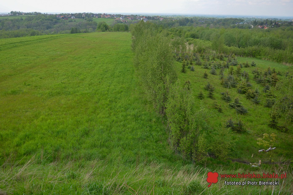 Strach w Lipniku