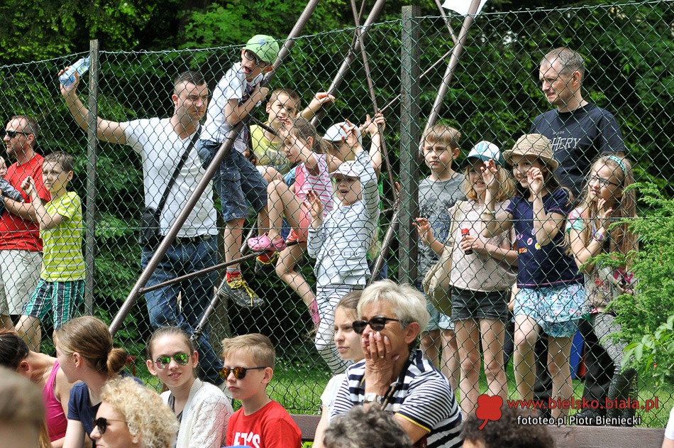 Bajkowy piknik u Reja - foto