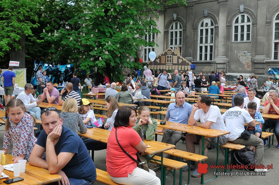 Bajkowy piknik u Reja - foto