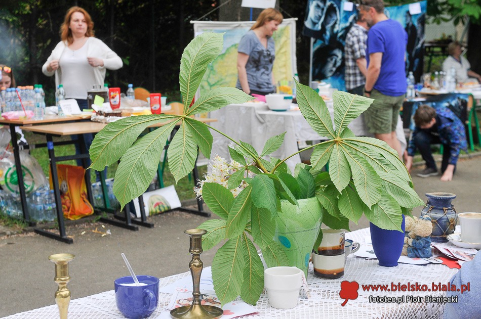 Bajkowy piknik u Reja - foto