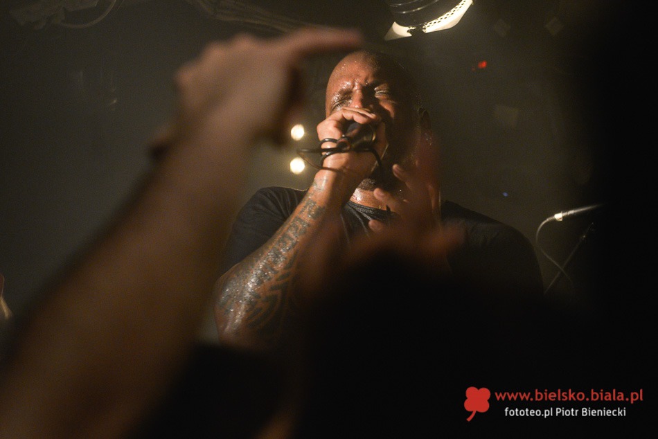 Sepultura z kompletem publiczności - foto