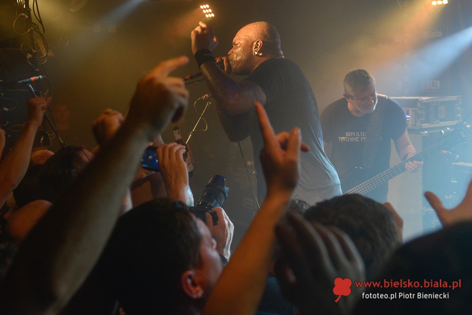 Sepultura z kompletem publiczności - foto