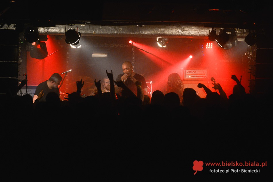 Sepultura z kompletem publiczności - foto