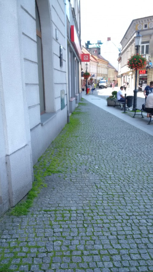 Czas wreszcie posprzątać centrum miasta