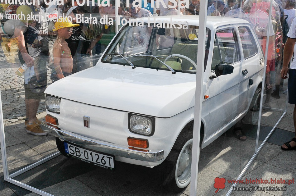 Orka w upale