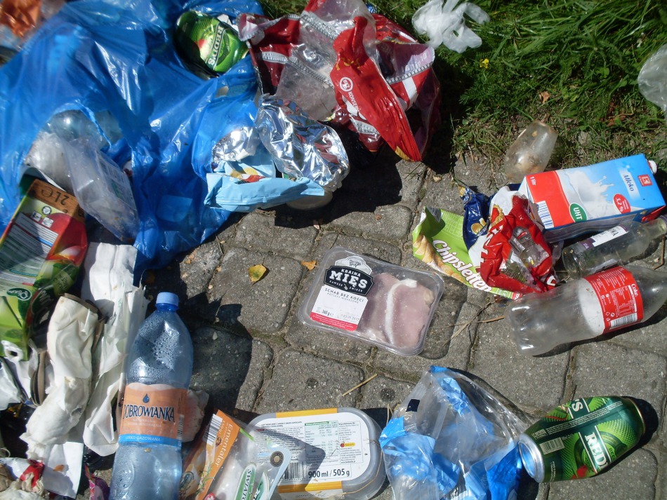 Piękny zakątek z dzikim wysypiskiem - foto