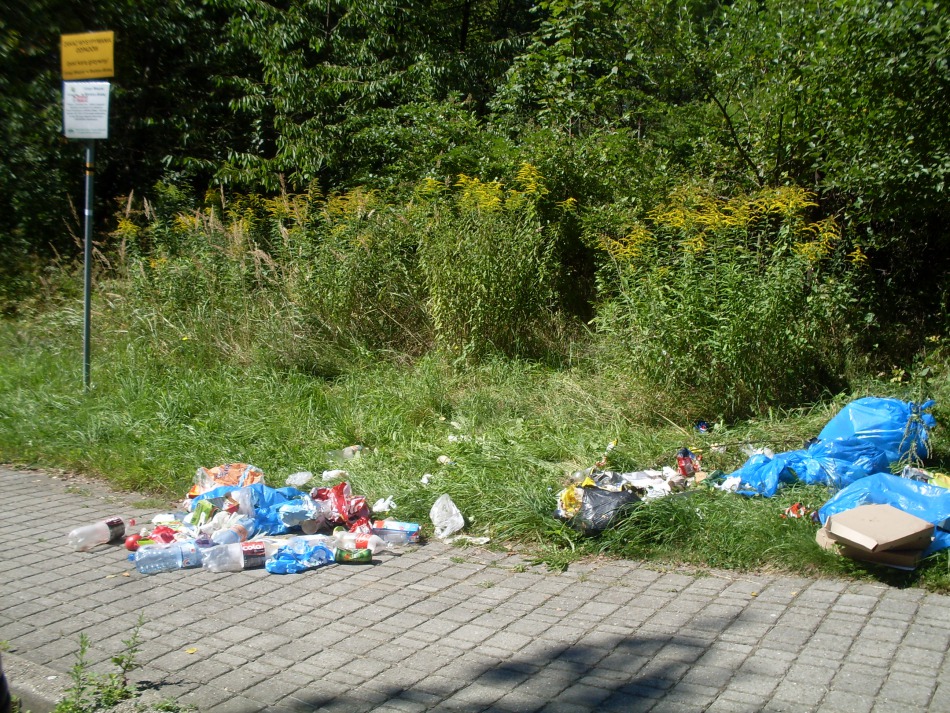 Piękny zakątek z dzikim wysypiskiem - foto