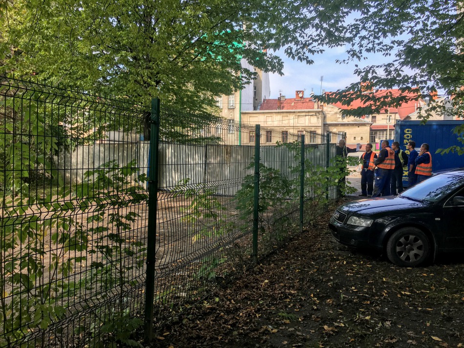 Nagonka na dziki w środku miasta - foto