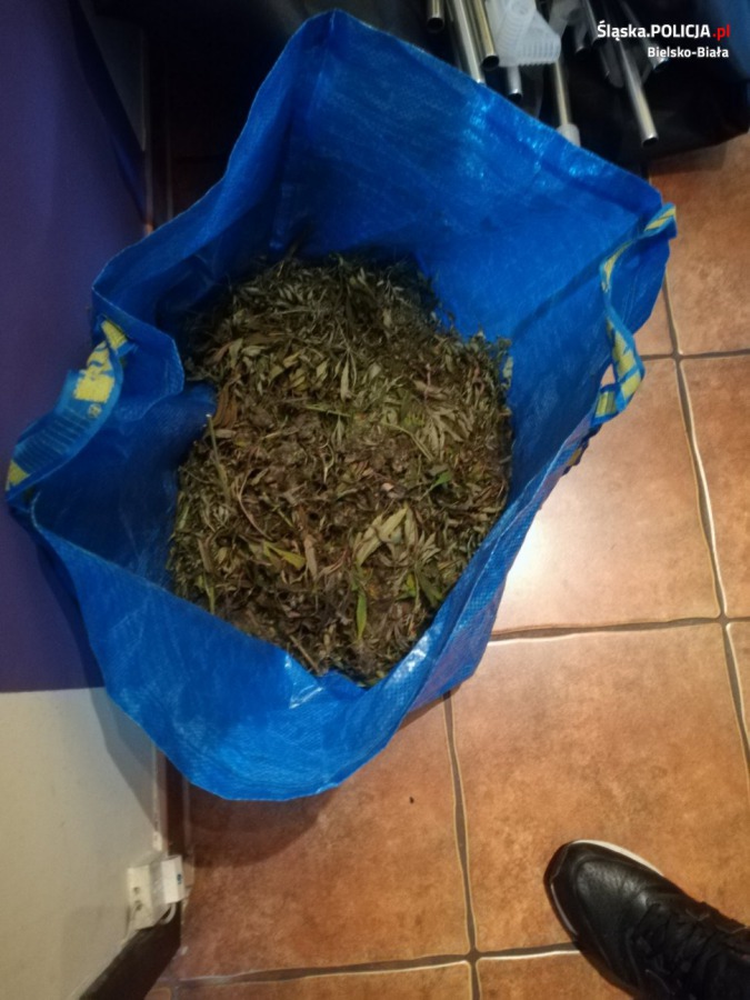 Kilogramy narkotyków w mieszkaniu dilera