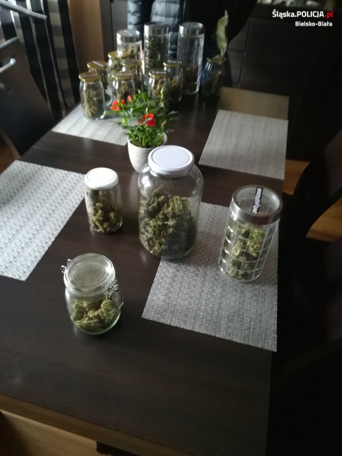 Kilogramy narkotyków w mieszkaniu dilera