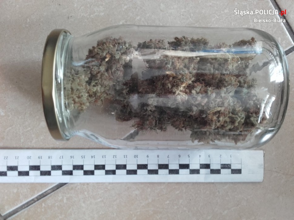 Kilogramy narkotyków w mieszkaniu dilera