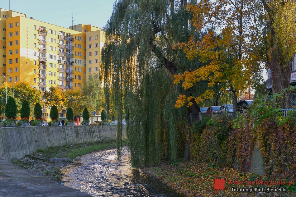 Jesień z Ofelią