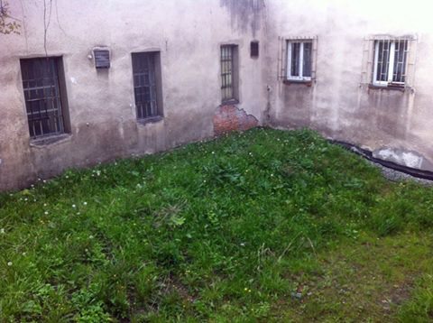 Ogród rośnie w środku miasta - foto