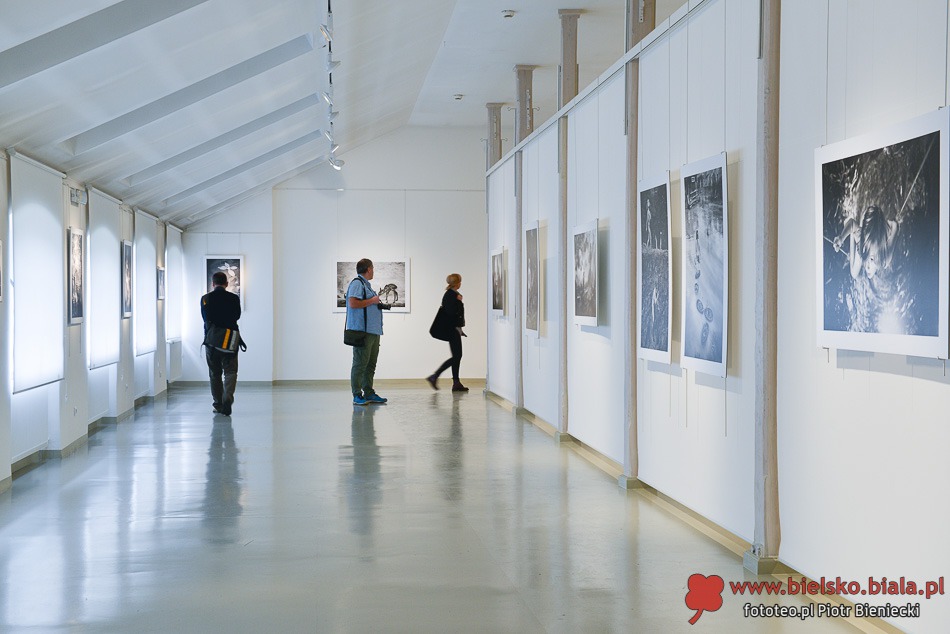 Foto z najwyższej półki