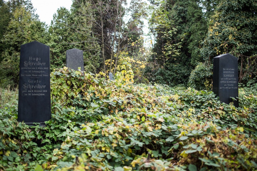 Zaniedbany cmentarz w środku miasta - foto
