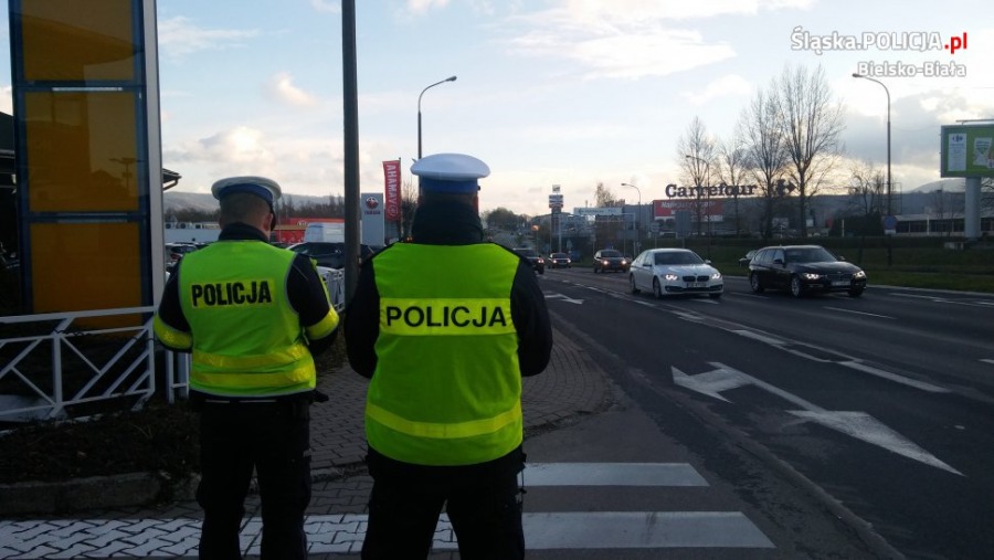 Ciało w worku i trumna przy drodze - foto