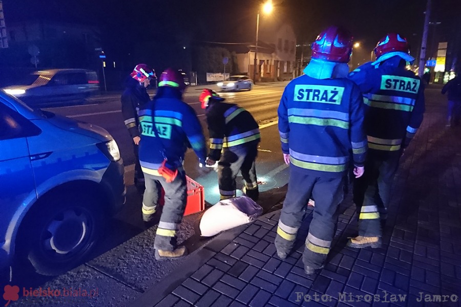 Wypadek na Hulance. Pieszy w szpitalu - foto