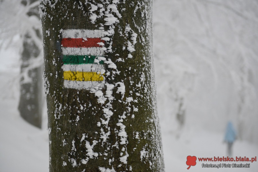 Zima na górze. Bajkowy obraz z wieży na Szyndzielni