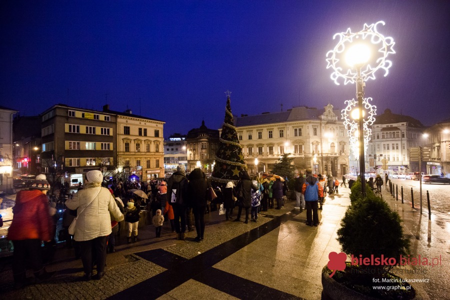 Iluminacja na wielkiej choince już działa! - foto