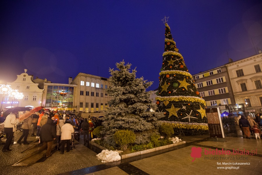 Iluminacja na wielkiej choince już działa! - foto
