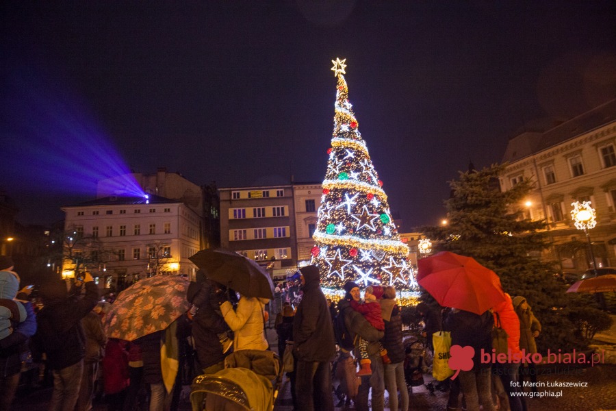 Iluminacja na wielkiej choince już działa! - foto