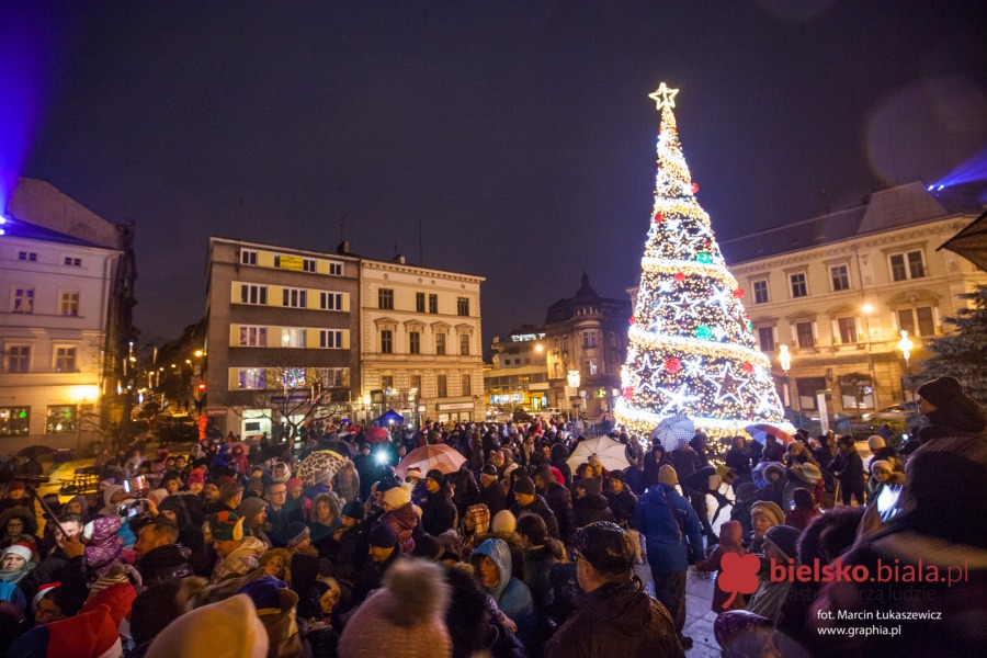 Iluminacja na wielkiej choince już działa! - foto