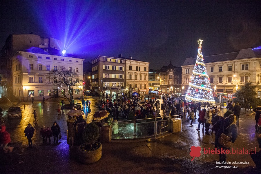 Iluminacja na wielkiej choince już działa! - foto