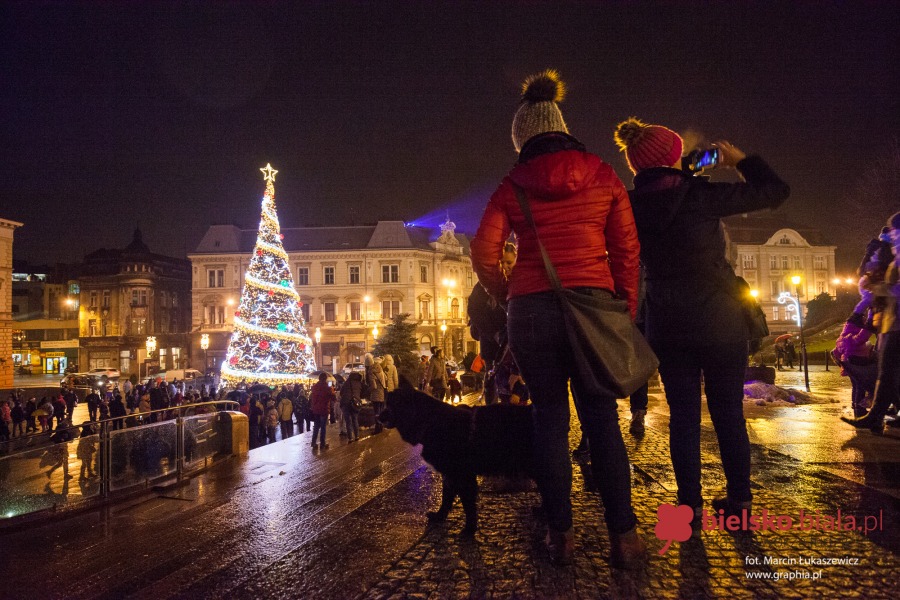 Iluminacja na wielkiej choince już działa! - foto