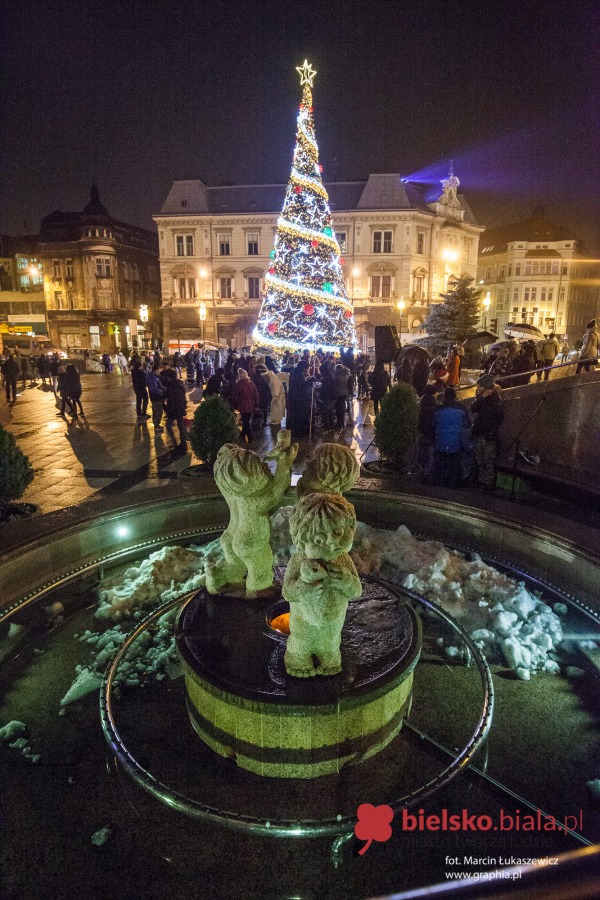 Iluminacja na wielkiej choince już działa! - foto