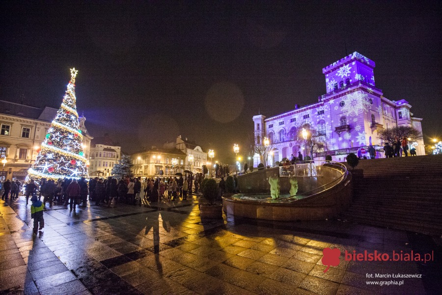 Iluminacja na wielkiej choince już działa! - foto
