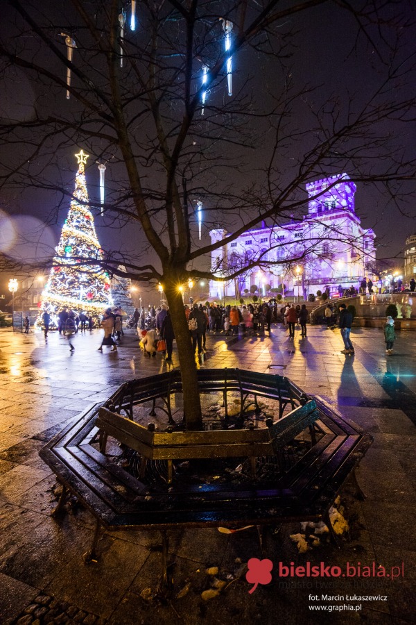 Iluminacja na wielkiej choince już działa! - foto