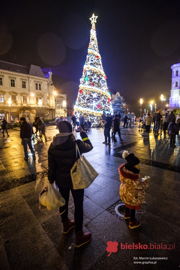Iluminacja na wielkiej choince już działa! - foto