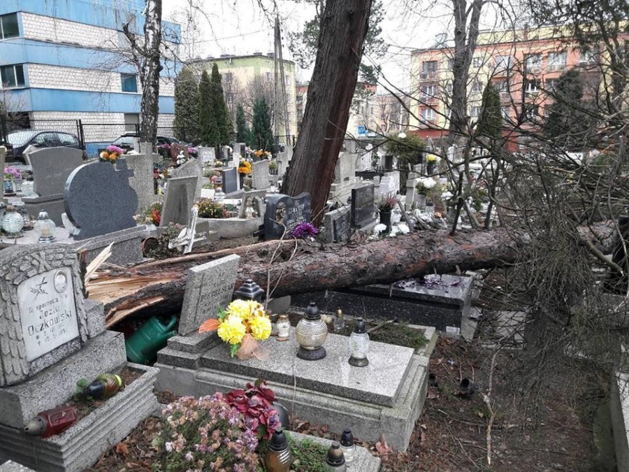 Halny spustoszył cmentarz. Duże straty - foto