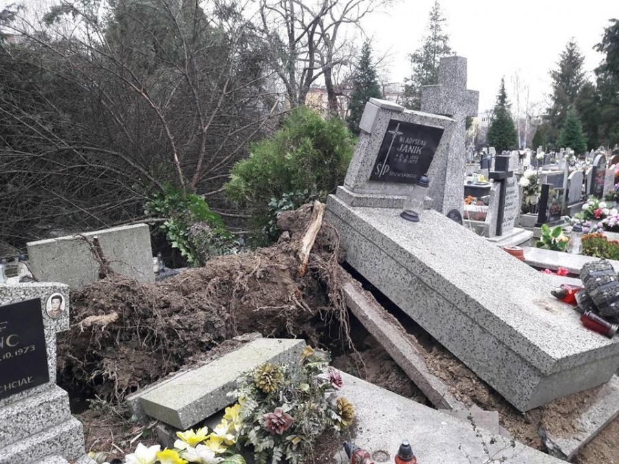 Halny spustoszył cmentarz. Duże straty - foto