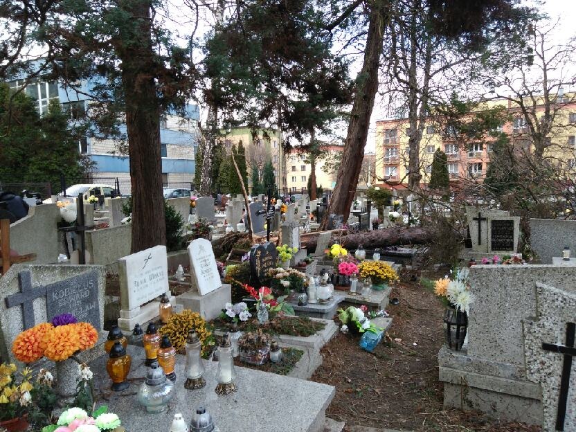 Halny spustoszył cmentarz. Duże straty - foto