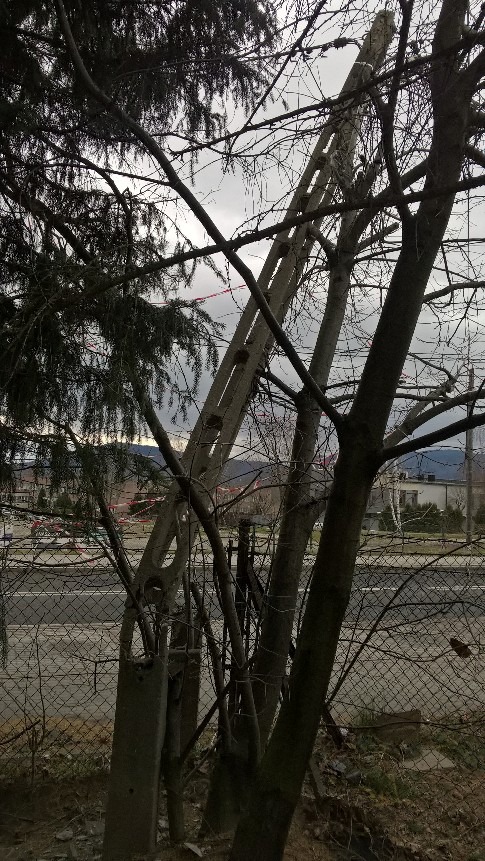 Tauron robi co może. Apel z ul. Karbowej - foto