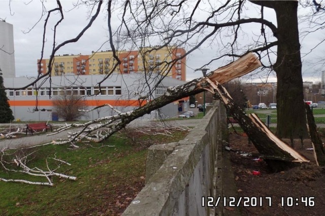 Gigantyczne straty. Koszmarny obraz po halnym