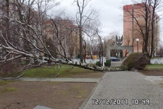Gigantyczne straty. Koszmarny obraz po halnym