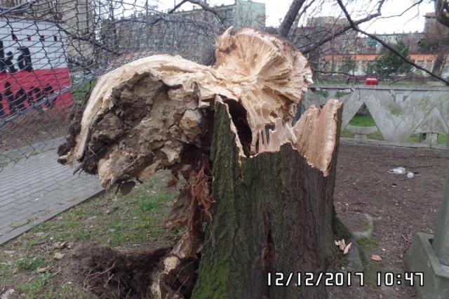 Gigantyczne straty. Koszmarny obraz po halnym