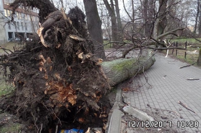 Gigantyczne straty. Koszmarny obraz po halnym