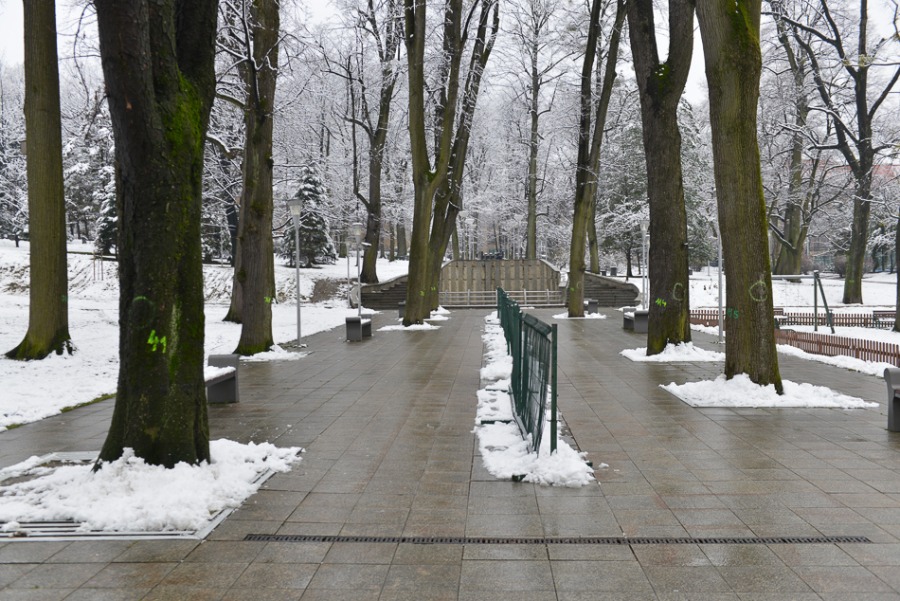 Bielsko-Biała chwilowo na biało - foto