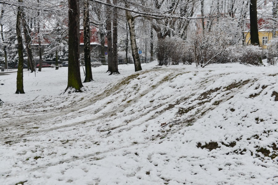 Bielsko-Biała chwilowo na biało - foto