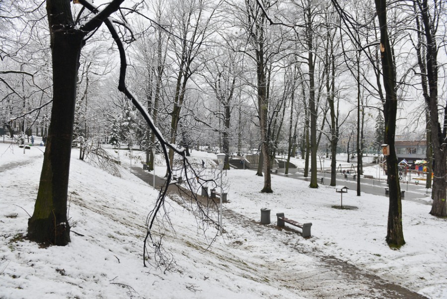 Bielsko-Biała chwilowo na biało - foto