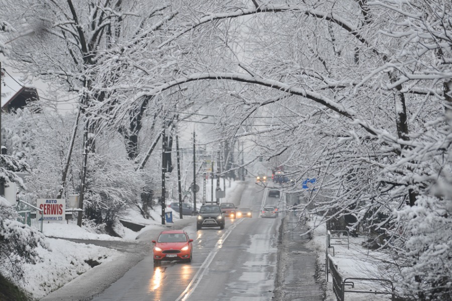 Bielsko-Biała chwilowo na biało - foto