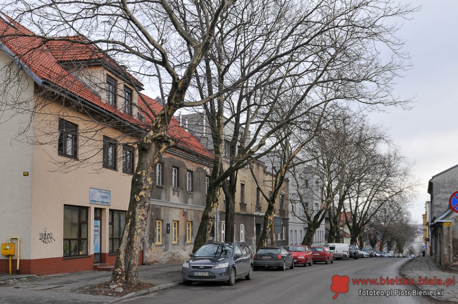 Trwa wycinka alei starych platanów w centrum - foto
