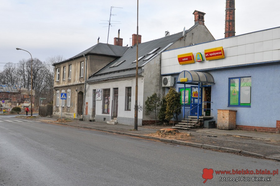 Trwa wycinka alei starych platanów w centrum - foto