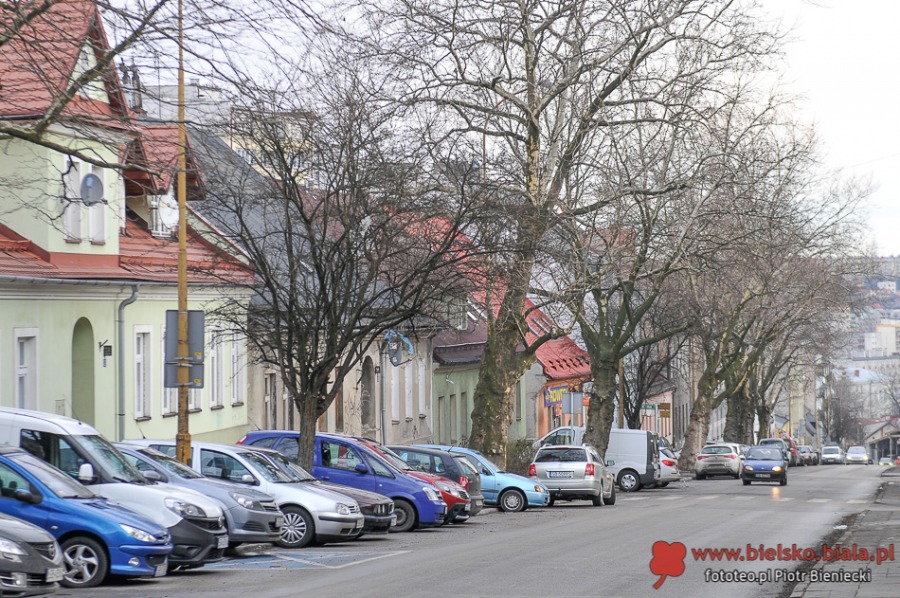 Trwa wycinka alei starych platanów w centrum - foto