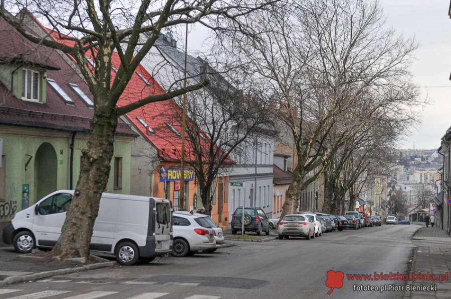 Trwa wycinka alei starych platanów w centrum - foto
