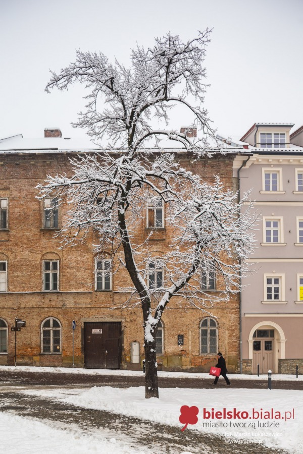 Zasypane miasto. Tak powinna wyglądać zima