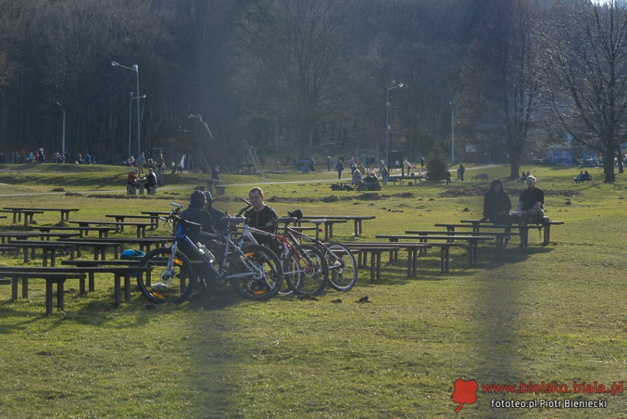 Wiosna na Błoniach. Zobacz, kogo spotkaliśmy - foto